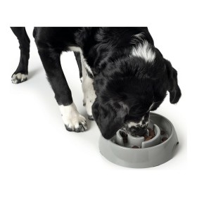Mangeoire pour chiens Hunter Mélamine 550 ml: Plus de 300.000 produits de grandes marques en vente directe à prix usine sur cade