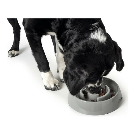 Mangeoire pour chiens Hunter Mélamine 550 ml: Plus de 300.000 produits de grandes marques en vente directe à prix usine sur cade