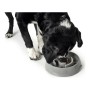 Mangeoire pour chiens Hunter Mélamine 550 ml: Plus de 300.000 produits de grandes marques en vente directe à prix usine sur cade