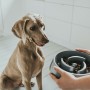Mangeoire pour chiens Hunter Mélamine 900 ml: Plus de 300.000 produits de grandes marques en vente directe à prix usine sur cade