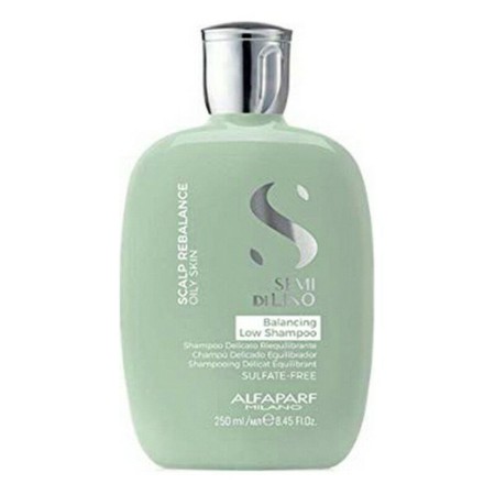 Shampooing Semi di Lino Balancing Alfaparf Milano 8022297095912 (250 ml): Plus de 300.000 produits de grandes marques en vente d