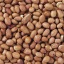 Nourriture pour oiseaux Deli Nature Premium 1 kg: Plus de 300.000 produits de grandes marques en vente directe à prix usine sur 