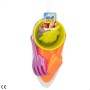 Set de jouets de plage Colorbaby 7 Pièces Bateau polypropylène (24 Unités): Plus de 300.000 produits de grandes marques en vente