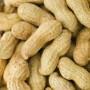 Nourriture pour oiseaux Deli Nature Premium 1,6 kg: Plus de 300.000 produits de grandes marques en vente directe à prix usine su