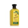 Après-shampooing Xpel Banana (400 ml): Plus de 300.000 produits de grandes marques en vente directe à prix usine sur cadeaufou.c