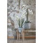 Sous-pot Mica Decorations Ascot Bois 60 x 38 x 38 cm: Plus de 300.000 produits de grandes marques en vente directe à prix usine 