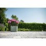 Pot auto-arrosant Garden ID Vert clair 20 x 20 cm: Plus de 300.000 produits de grandes marques en vente directe à prix usine sur