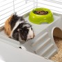 Cage Ferplast Cavie: Plus de 300.000 produits de grandes marques en vente directe à prix usine sur cadeaufou.com. Label boutique