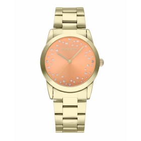 Montre Homme Radiant RA606205 (Ø 36 mm): Plus de 300.000 produits de grandes marques en vente directe à prix usine sur cadeaufou