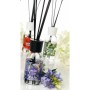Bâtonnets Parfumés Magic Lights Lavande (125 ml): Plus de 300.000 produits de grandes marques en vente directe à prix usine sur 