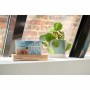 Radio Thomson WOOD Marron: Plus de 300.000 produits de grandes marques en vente directe à prix usine sur cadeaufou.com. Label bo