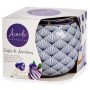 Bougie Parfumée Acorde SS.CRANBERY Myrtille (12 Unités): Plus de 300.000 produits de grandes marques en vente directe à prix usi