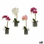 Fleur décorative Ibergarden A18124-50-2 Orchidée 14 x 51 x 18 cm (6 Unités): Plus de 300.000 produits de grandes marques en vent