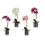 Fleur décorative Ibergarden A18124-50-2 Orchidée 14 x 51 x 18 cm (6 Unités): Plus de 300.000 produits de grandes marques en vent