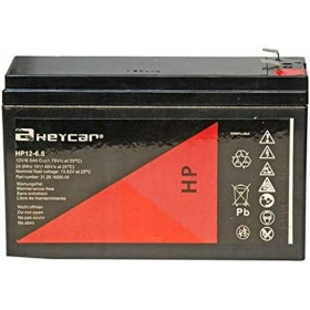 Batterie pour Système d'Alimentation Sans Interruption Riello BAT 12-6.5: Plus de 300.000 produits de grandes marques en vente d