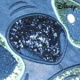Sac à Bandoulière Stitch Disney 72809 Bleu: Plus de 300.000 produits de grandes marques en vente directe à prix usine sur cadeau