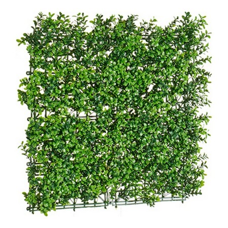 Plante décorative Ibergarden MZ188019A 50 x 5 x 50 cm: Plus de 300.000 produits de grandes marques en vente directe à prix usine