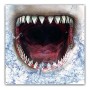 Masque en tissu hygiénique réutilisable 6-9 ans Requin: Plus de 300.000 produits de grandes marques en vente directe à prix usin