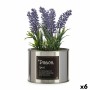 Plante décorative Ibergarden Métal Plastique Cannette Lavande 10 x 18 x 10 cm (6 Unités): Plus de 300.000 produits de grandes ma