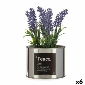 Plante décorative Ibergarden Métal Plastique Cannette Lavande 10 x 18 x 10 cm (6 Unités): Plus de 300.000 produits de grandes ma