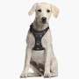 Harnais pour Chien Star Wars Noir XXS: Plus de 300.000 produits de grandes marques en vente directe à prix usine sur cadeaufou.c