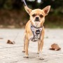 Harnais pour Chien Disney Gris: Plus de 300.000 produits de grandes marques en vente directe à prix usine sur cadeaufou.com. Lab
