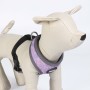 Harnais pour Chien Disney XXS/XS Gris: Plus de 300.000 produits de grandes marques en vente directe à prix usine sur cadeaufou.c