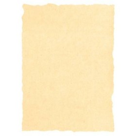 Papier parchemin Michel Crème A4 25 Pièces: Plus de 300.000 produits de grandes marques en vente directe à prix usine sur cadeau