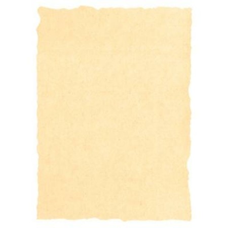 Papier parchemin Michel Crème A4 25 Pièces: Plus de 300.000 produits de grandes marques en vente directe à prix usine sur cadeau