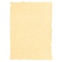 Papier parchemin Michel Crème A4 25 Pièces: Plus de 300.000 produits de grandes marques en vente directe à prix usine sur cadeau
