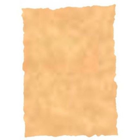 Papier parchemin Michel Multicouleur Ocre A4 25 Pièces: Plus de 300.000 produits de grandes marques en vente directe à prix usin