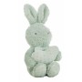 Coffret Bébé Coralina Jouet Peluche Couverture Lapin 100 x 75 cm: Plus de 300.000 produits de grandes marques en vente directe à