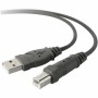 Câble USB 2.0 Belkin F3U154BT3M Imprimante 3 m Noir Gris: Plus de 300.000 produits de grandes marques en vente directe à prix us