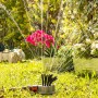 Asperseur d’Arrosage 360° pour Jardin Klerdden InnovaGoods 36 jets: Plus de 300.000 produits de grandes marques en vente directe