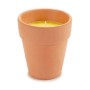 Bougie Ibergarden HL-WG80C Citronnelle (12 Unités): Plus de 300.000 produits de grandes marques en vente directe à prix usine su