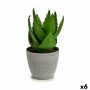 Plante décorative Ibergarden YC184573 Plastique Aloe Vera 15 x 23,5 x 15 cm (6 Unités): Plus de 300.000 produits de grandes marq