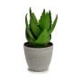 Plante décorative Ibergarden YC184573 Plastique Aloe Vera 15 x 23,5 x 15 cm (6 Unités): Plus de 300.000 produits de grandes marq