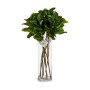 Branche Ibergarden YD130615 Vert Plastique 80 cm Volets (12 Unités): Plus de 300.000 produits de grandes marques en vente direct