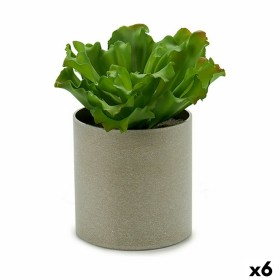 Plante décorative Ibergarden YC181588 20 x 25 x 20 cm (6 Unités): Plus de 300.000 produits de grandes marques en vente directe à