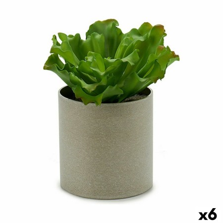 Plante décorative Ibergarden YC181588 20 x 25 x 20 cm (6 Unités): Plus de 300.000 produits de grandes marques en vente directe à