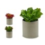 Plante décorative Ibergarden YC181588 20 x 25 x 20 cm (6 Unités): Plus de 300.000 produits de grandes marques en vente directe à