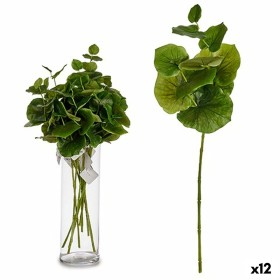 Branche Ibergarden YD120128 Vert Plastique 75 cm Volets (12 Unités): Plus de 300.000 produits de grandes marques en vente direct