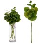 Branche Ibergarden YD120128 Vert Plastique 75 cm Volets (12 Unités): Plus de 300.000 produits de grandes marques en vente direct