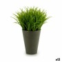 Plante décorative Ibergarden S18064 Plastique 11 x 18 x 11 cm (12 Unités): Plus de 300.000 produits de grandes marques en vente 