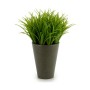 Plante décorative Ibergarden S18064 Plastique 11 x 18 x 11 cm (12 Unités): Plus de 300.000 produits de grandes marques en vente 