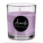 Bougie Parfumée Acorde 83177 Lavande (12 Unités): Plus de 300.000 produits de grandes marques en vente directe à prix usine sur 