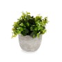 Plante décorative Ibergarden QY-H021 Plastique Fleurs 20 x 20,5 x 20 cm (8 Unités): Plus de 300.000 produits de grandes marques 