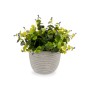 Plante décorative Ibergarden QY-H022 Plastique Fleurs 21 x 20,6 x 21 cm (8 Unités): Plus de 300.000 produits de grandes marques 