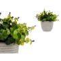 Plante décorative Ibergarden QY-H022 Plastique Fleurs 21 x 20,6 x 21 cm (8 Unités): Plus de 300.000 produits de grandes marques 