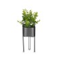 Plante décorative Ibergarden QY-H096 Métal Plastique Eucalyptus 14 x 40 x 14 cm (8 Unités): Plus de 300.000 produits de grandes 